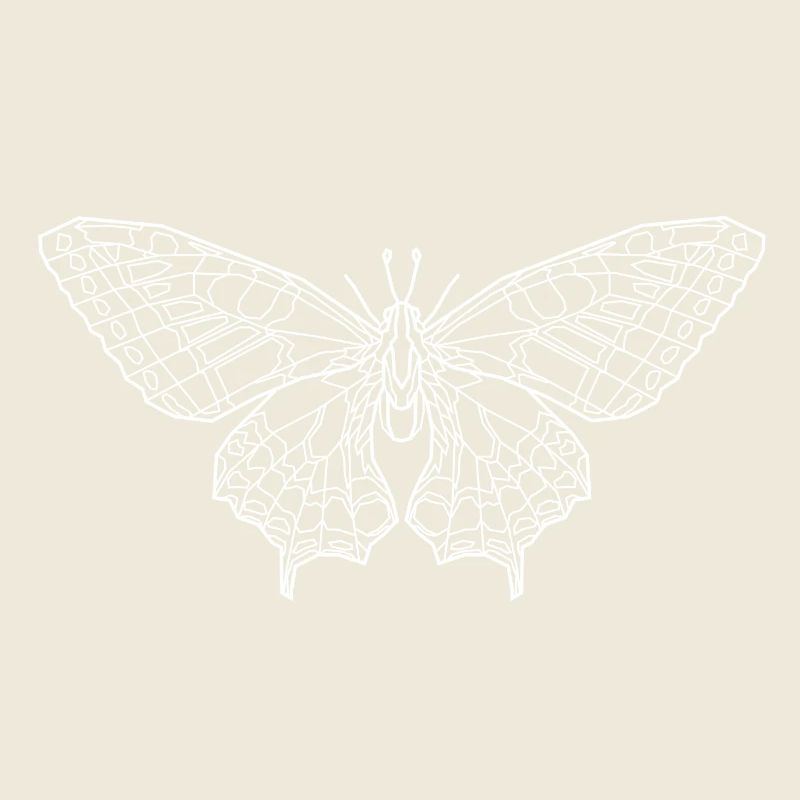 blanc papillon