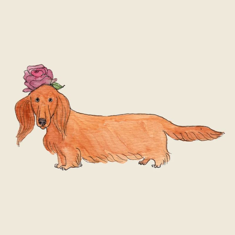 Dachshund with flower