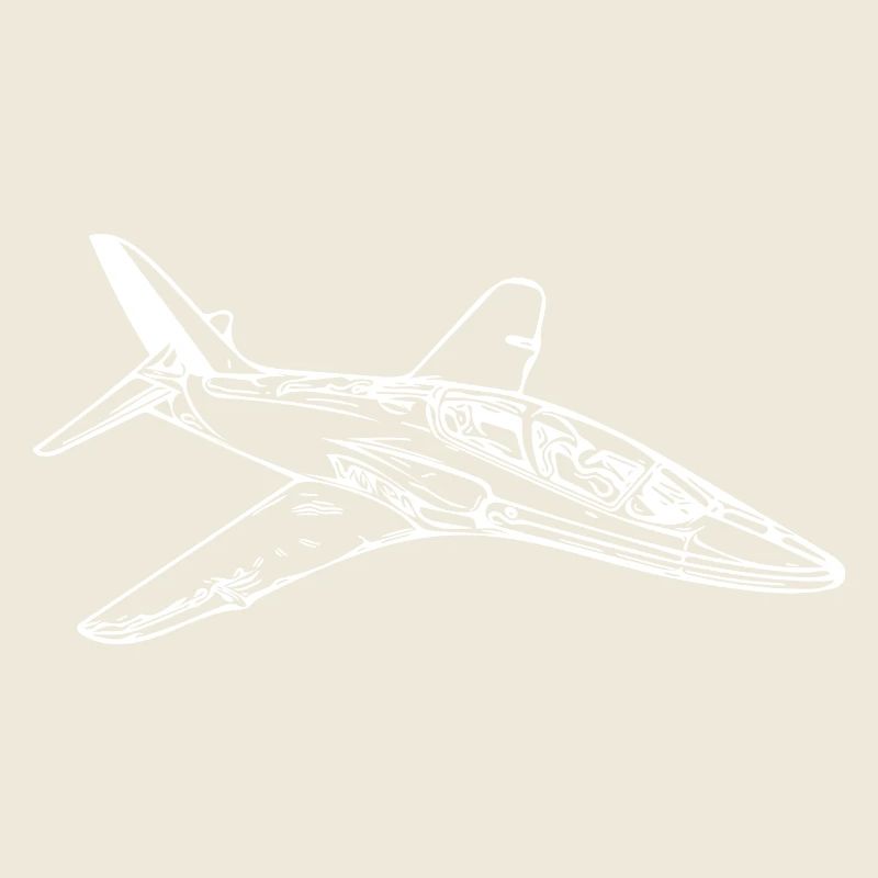 Schnittiger Jet Flieger Flugzeug