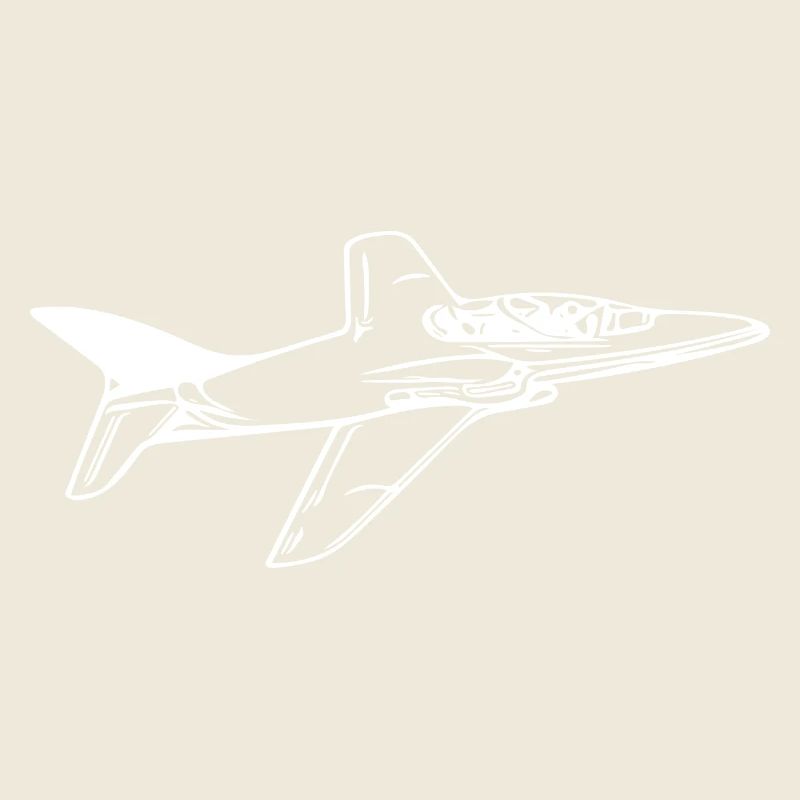 Jet Airplane Flyer