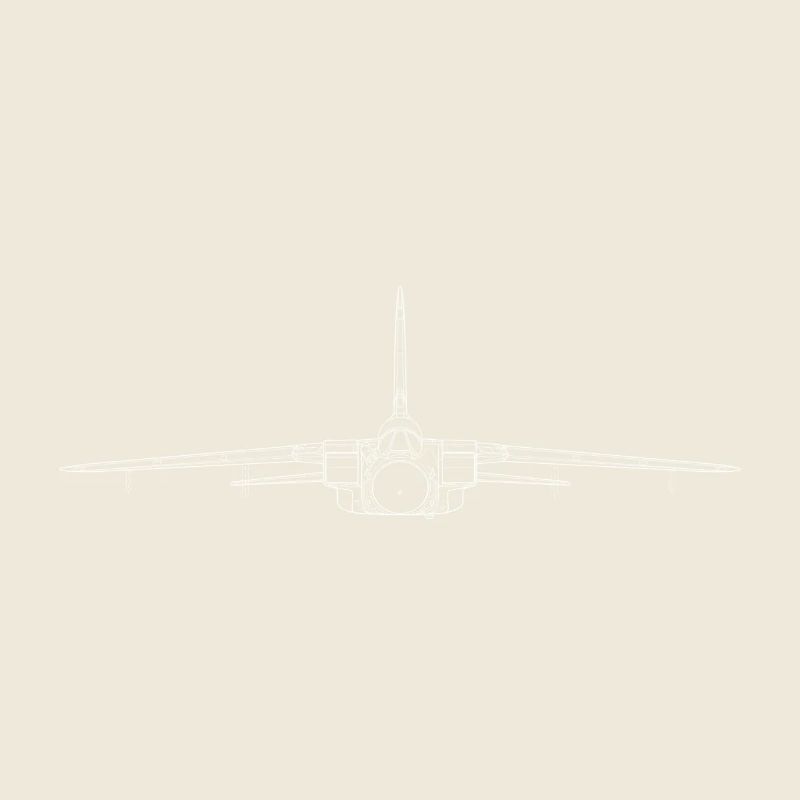 tornado jet fighter white front