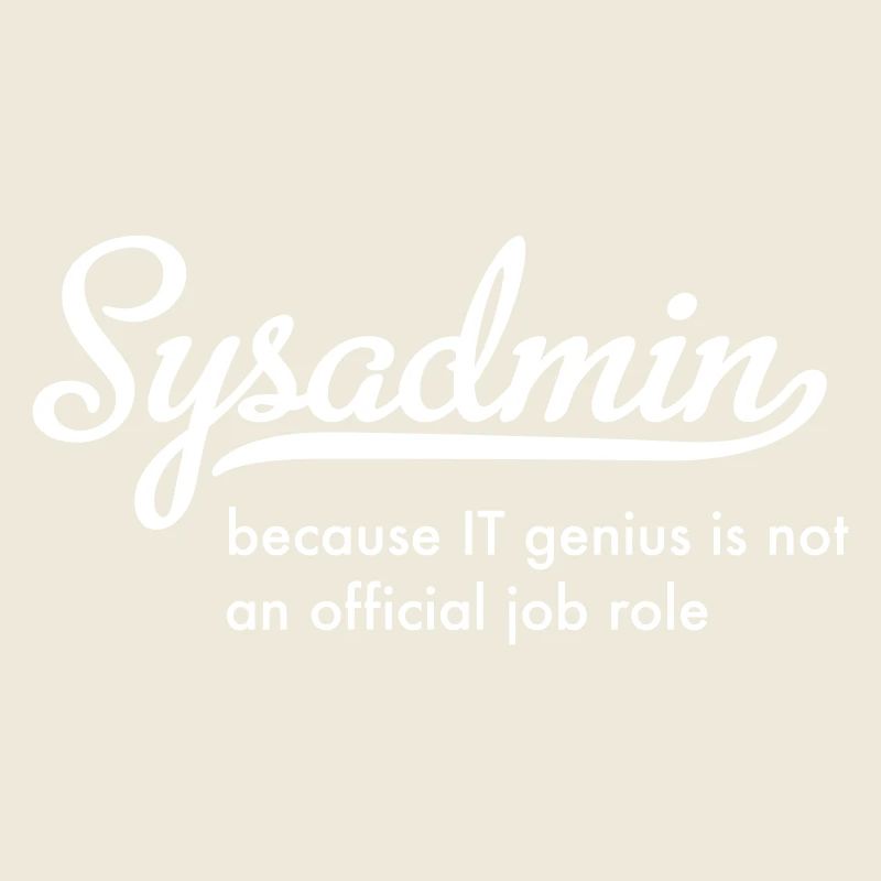 Administrateur système