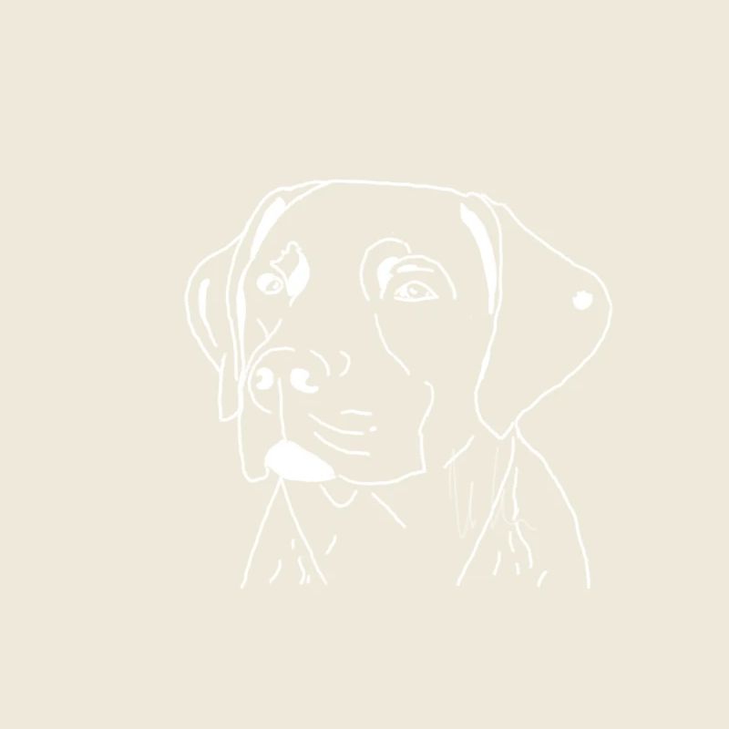 Labrador