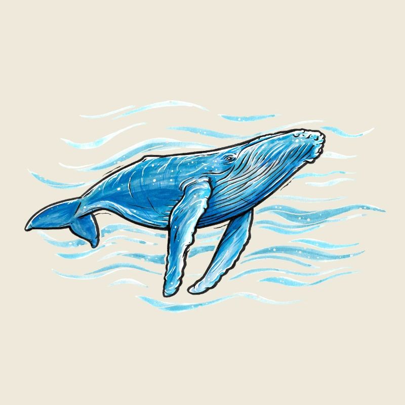 Humpback whale