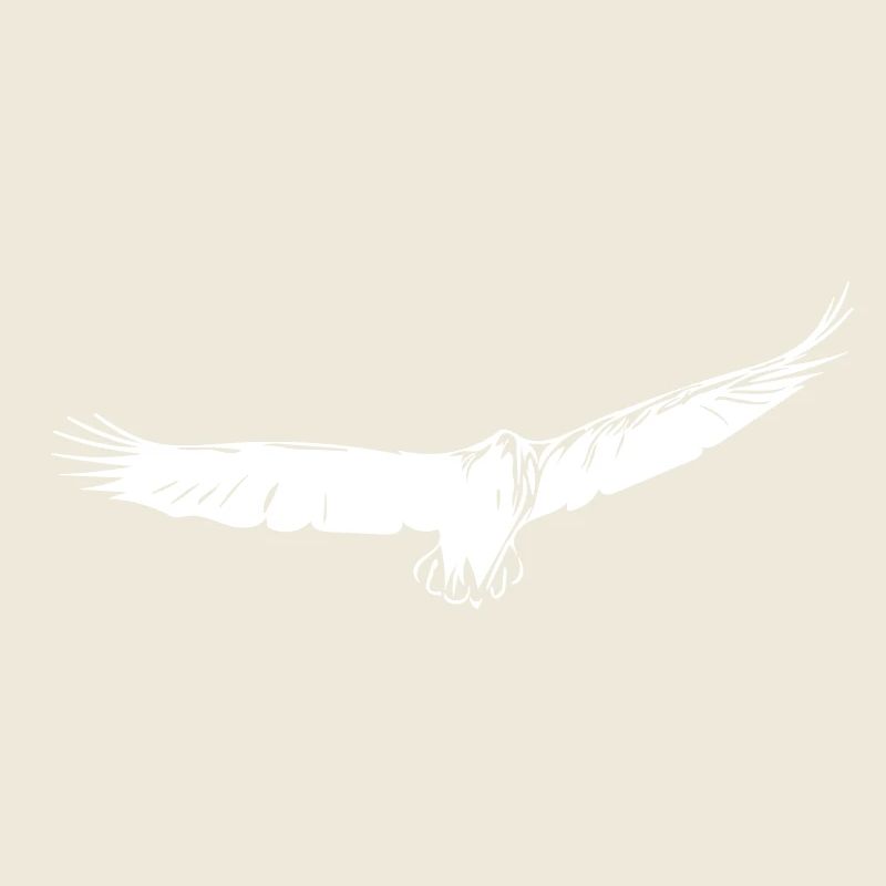 Eagle gliding