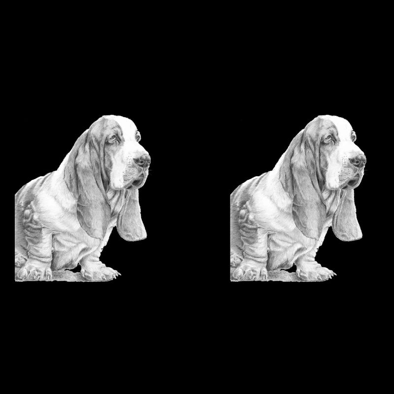 Basset hound panorama mold