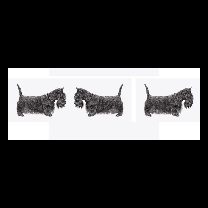 Schottischer Terrier Auto