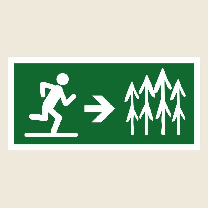 Sortie en forêt