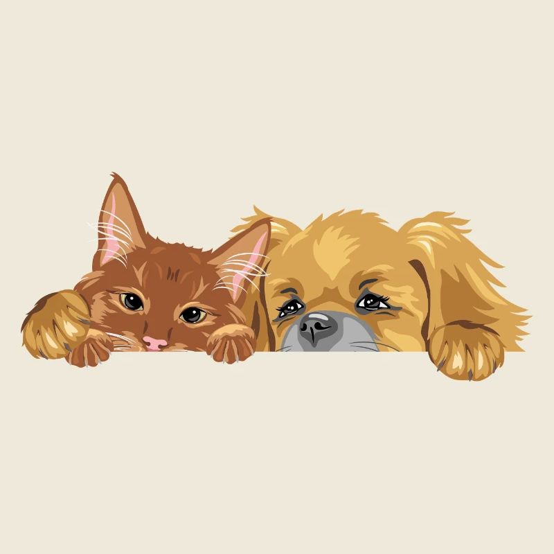 Chat roux et chien pékinois