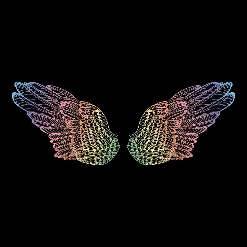 rainbow wings flight mode