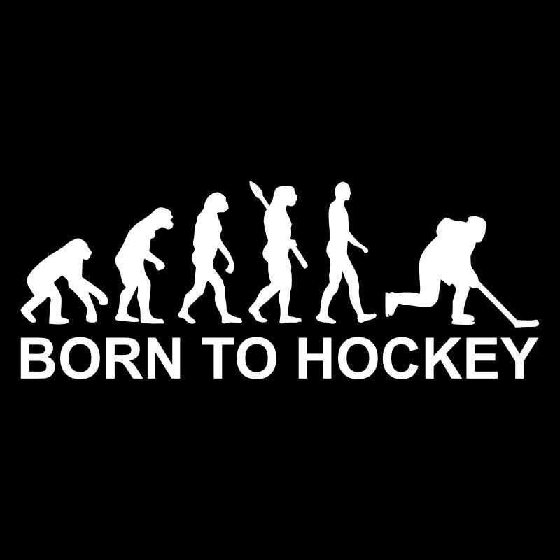 Evolution Hockey