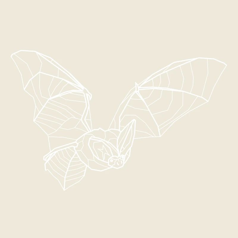 Long-eared bat white