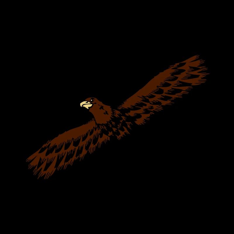 Adler vogel fliegen anmut raubvogel