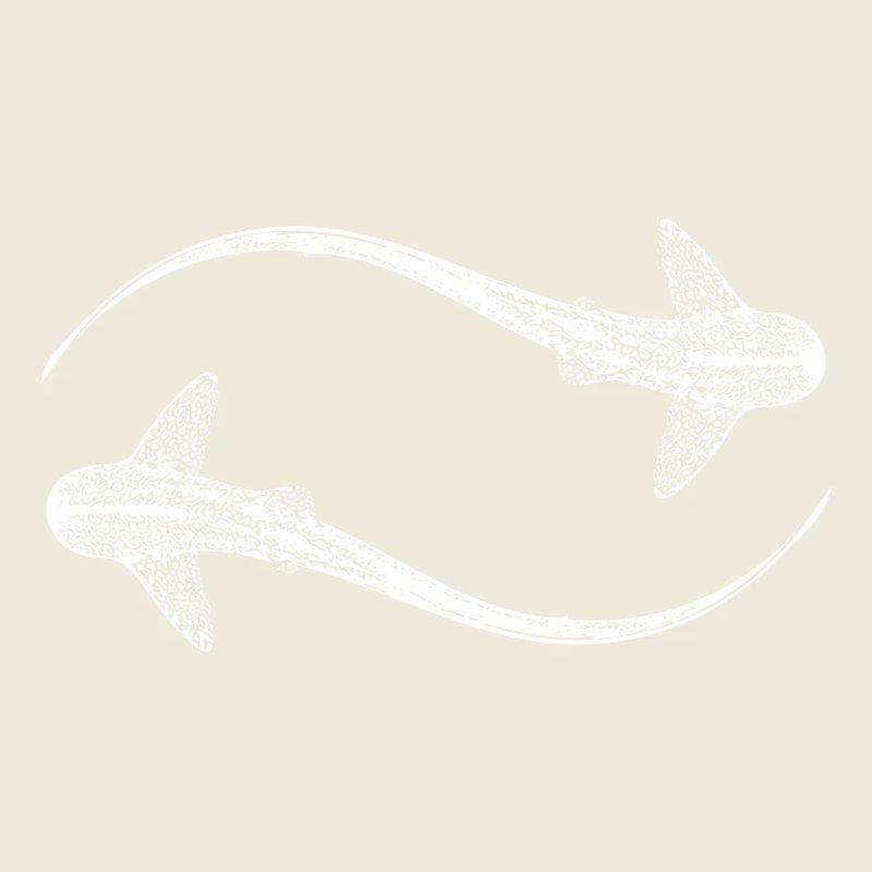 Elegant leopard sharks - Triakis semifasciata