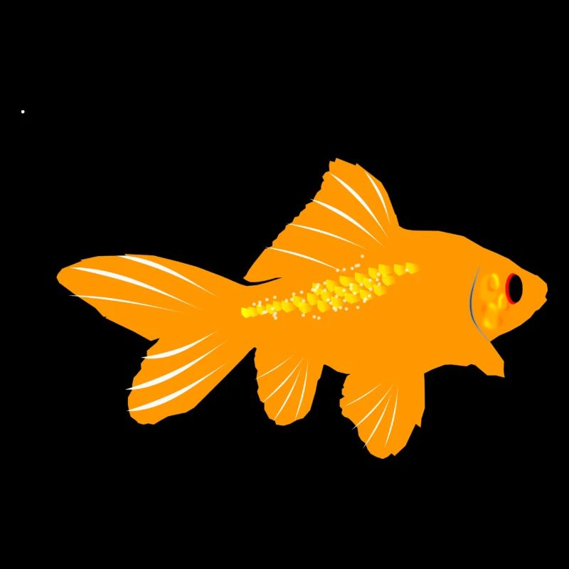poisson rouge