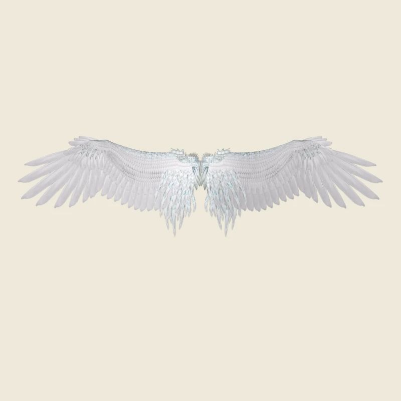 ailes d'ange