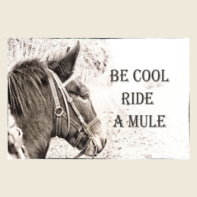 Be Cool Ride A Mule