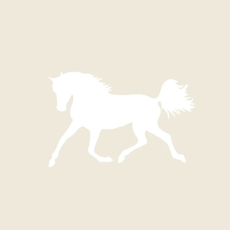 Horse silhouette white