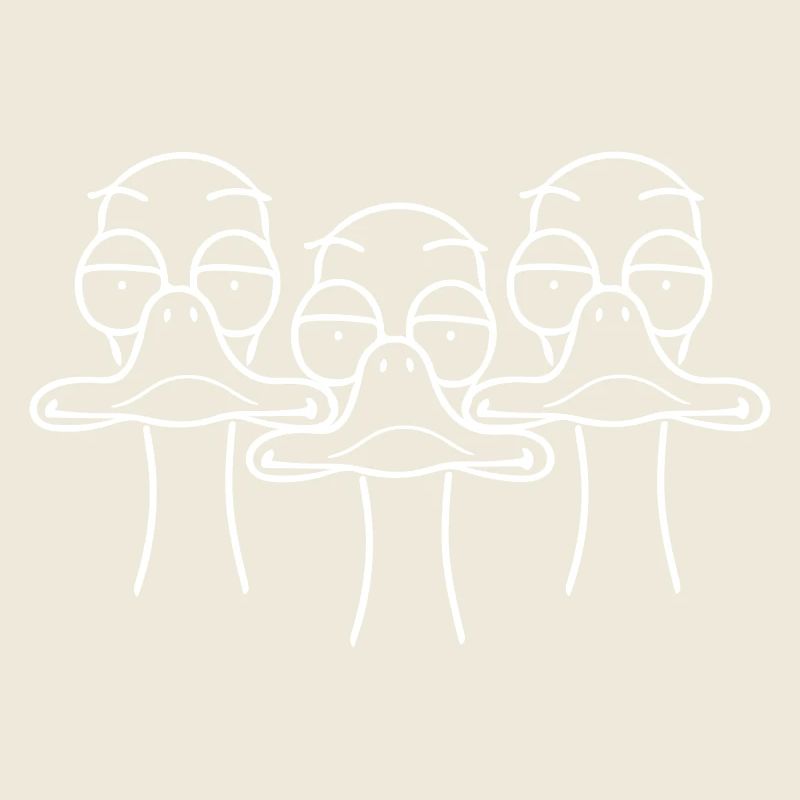Three funny ducks