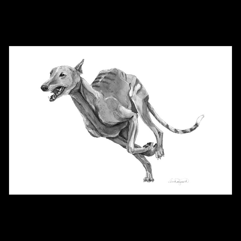 Greyhound Poster