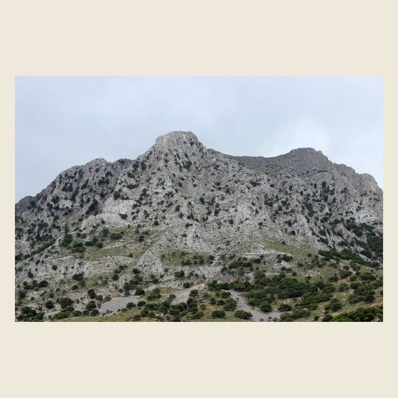 Mountain Mountains Mountain Landscape Poster