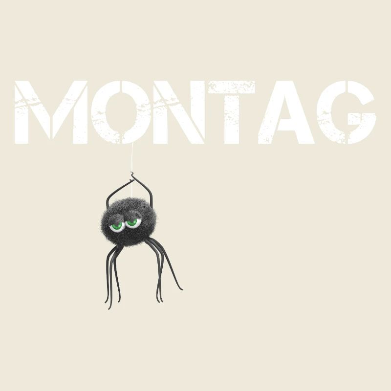 Montags Spinne