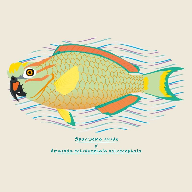 Poisson-perroquet / Hybride