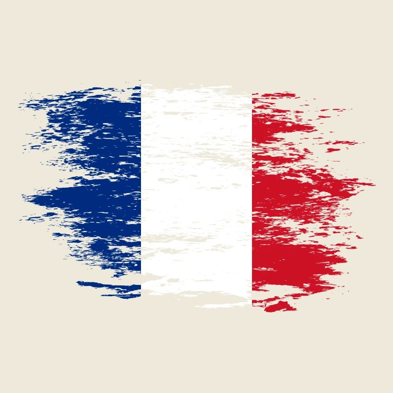 Drapeau de la France utilisé