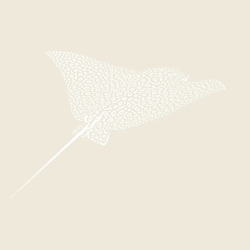 Rochen