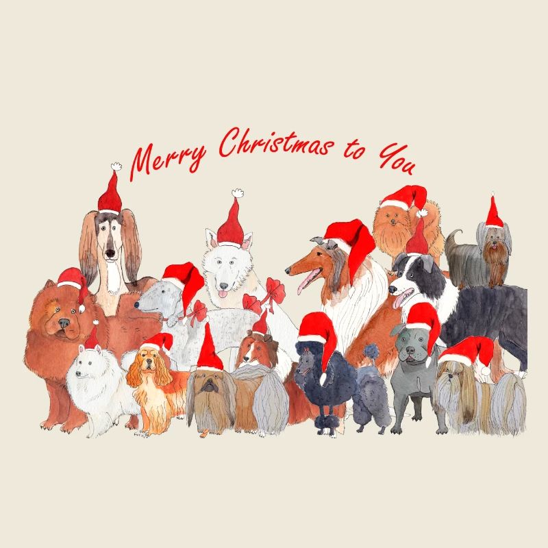 Chiens de Noël Chiens de Noël1