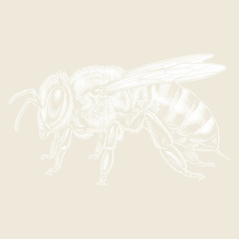 honeybee