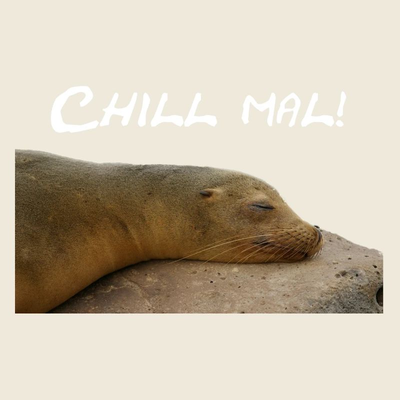 Robbe Chillt auf Stein