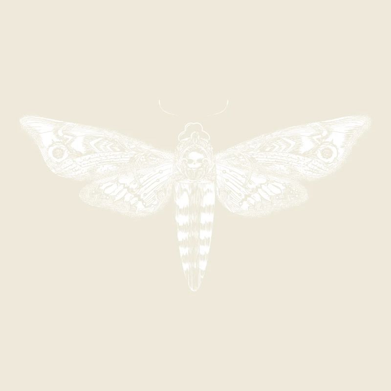 Dessin d'un essaim de crâne blanc