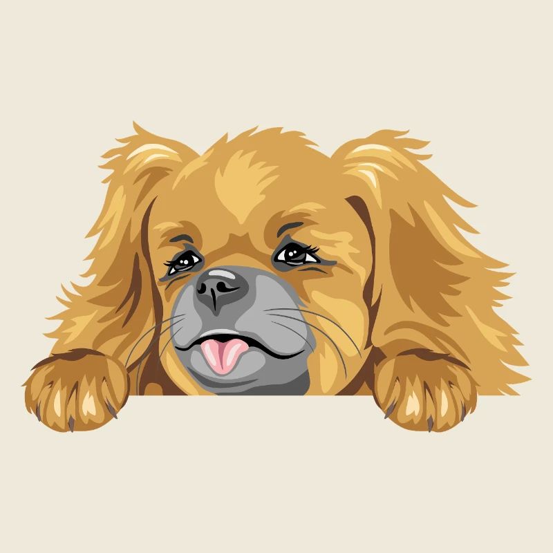 Chien pékinois