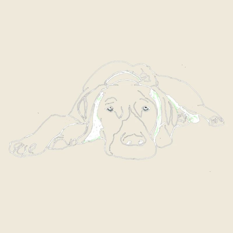 Pointer German Shorthair