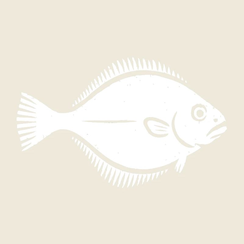 Scholle Flunder