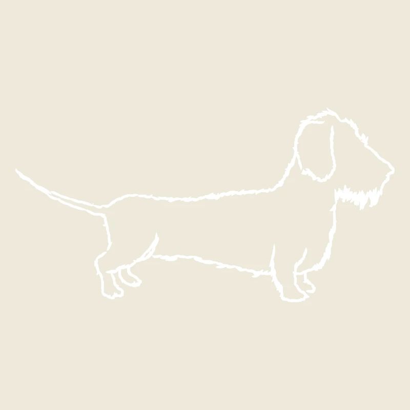 Teckel, teckel à poils durs, teckel, amour du chien