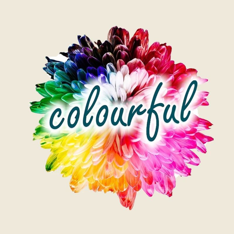 Regenbogenblume Farbexplosion