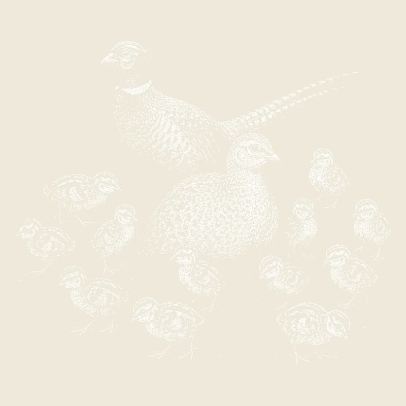 Pheasant