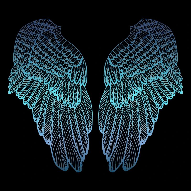 Ailes d'ange aux tons bleues