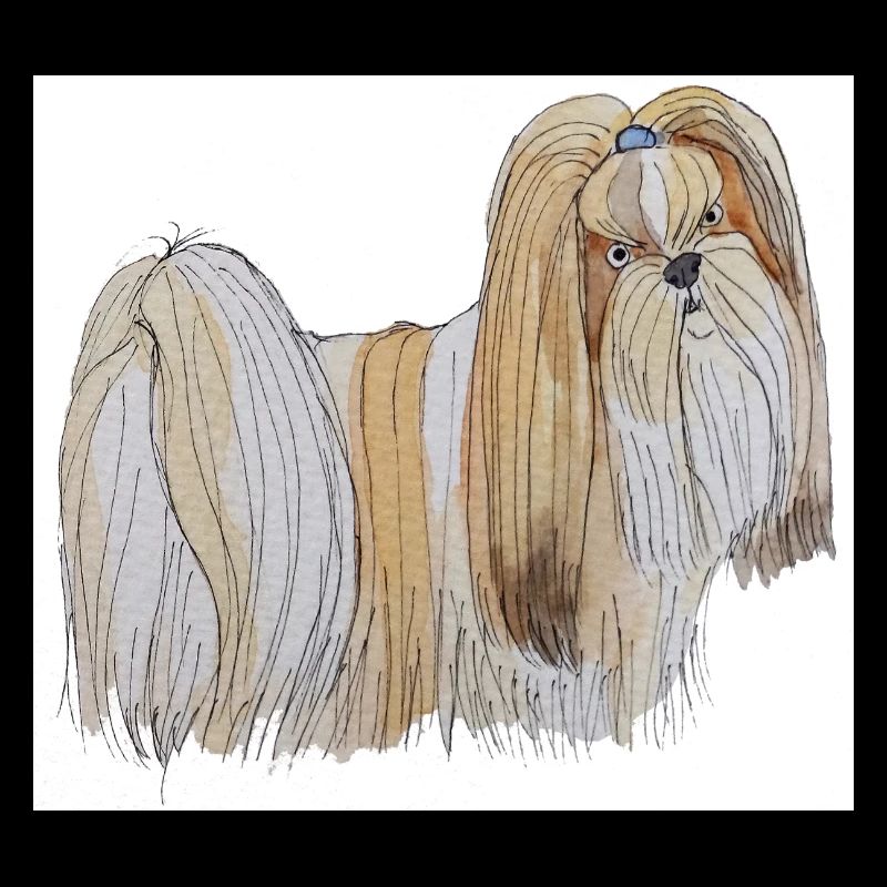 Lhasa Apso sticks