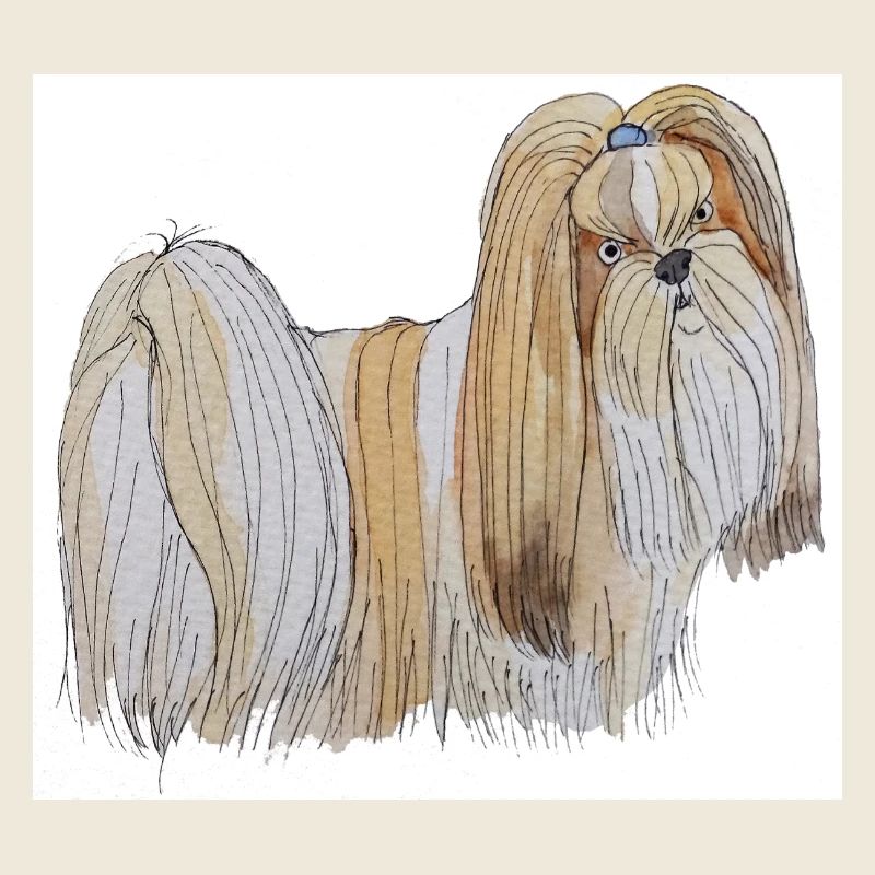 Bâtons de Lhassa Apso