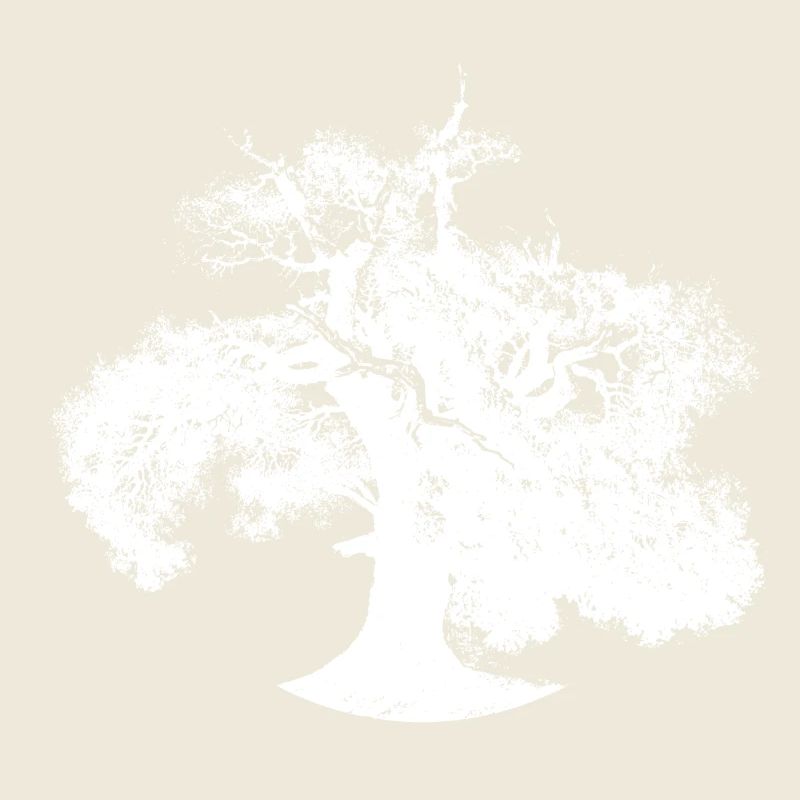 Tree Forest Climate change sustainable environmental protection