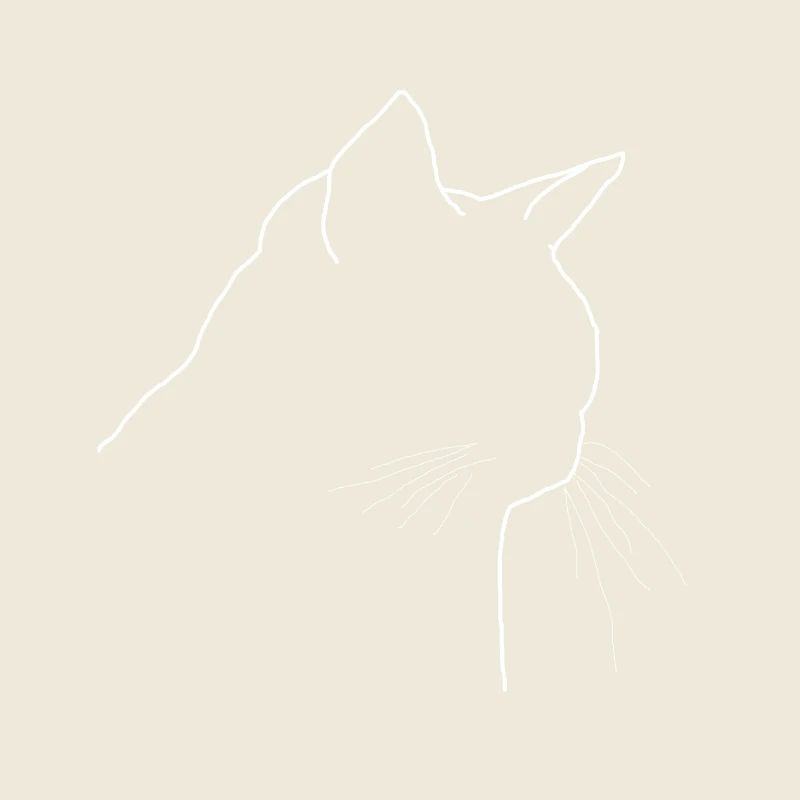 Male cat