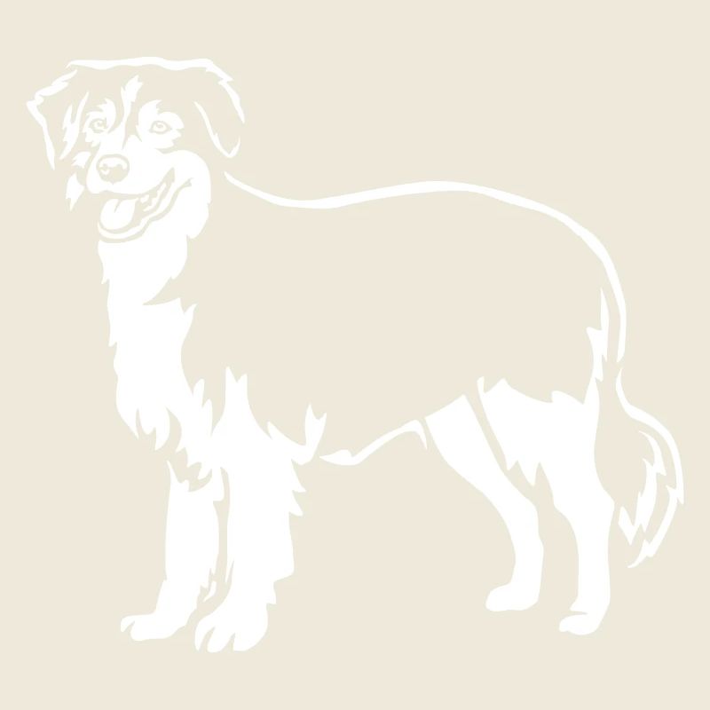 Australian Shepherd "Black Edition"