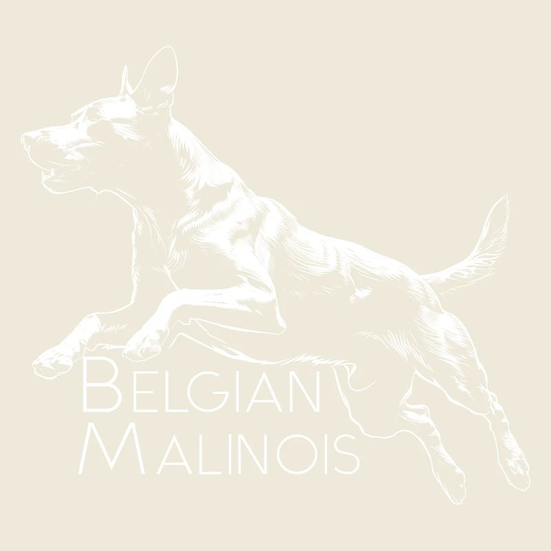 BELGIAN MALINOIS