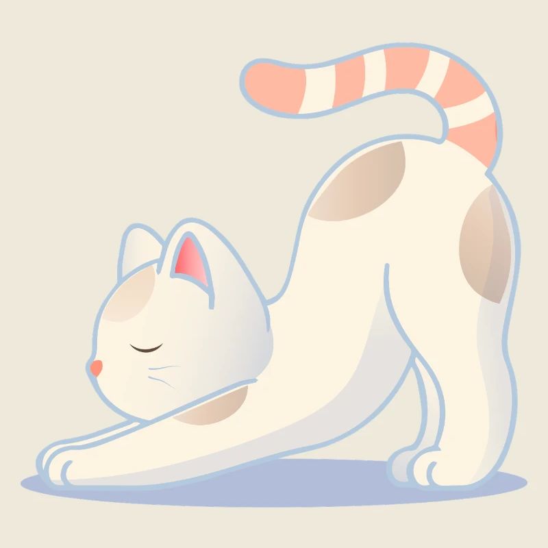 Eine Katze in einer dehnenden Yoga-Pose