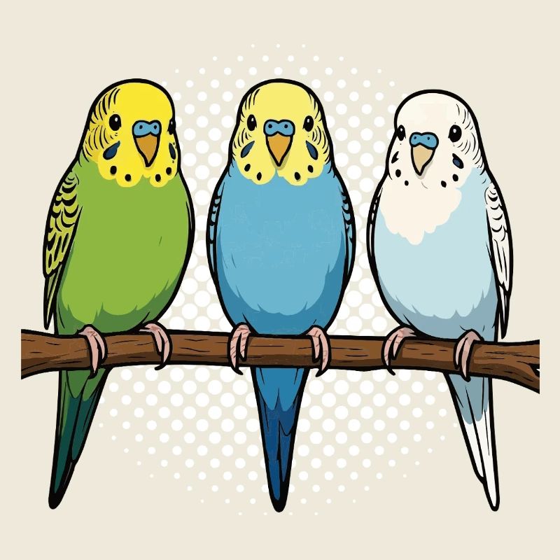 Budgerigars Budgie Owners Budgies