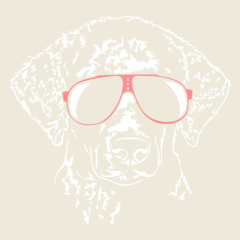 Curly Coated Retriever cool
