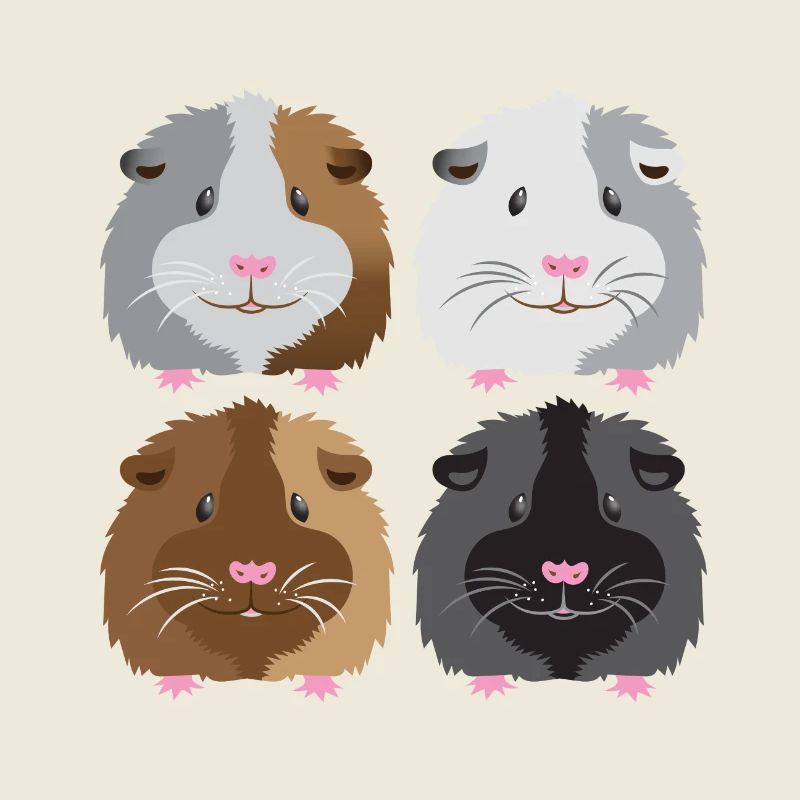four guinea pigs cute